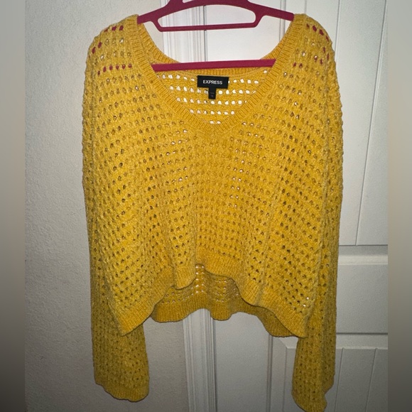 Express Cropped Sweater size Large - Picture 1 of 3
